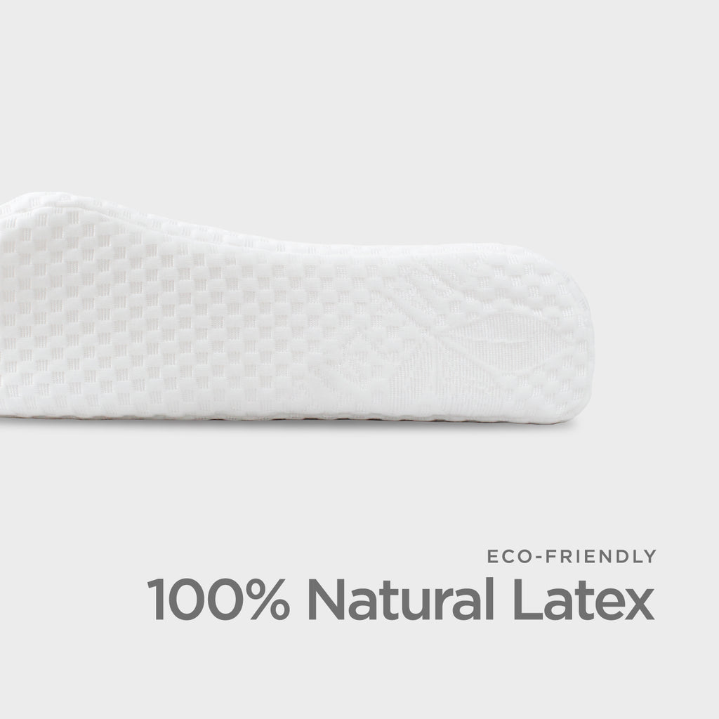 Latex Collection, Standard/ Contour Pillows