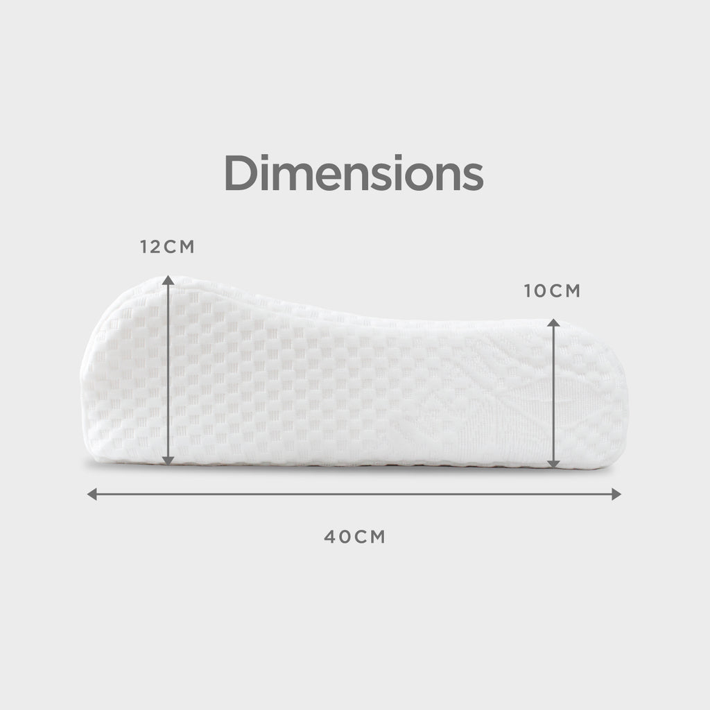 Latex Collection, Standard/ Contour Pillows